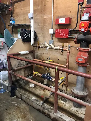 Freeman Mechanical