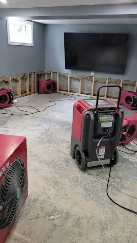PuroClean