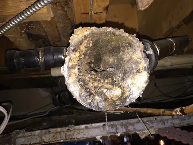 The Great Plumbing Co