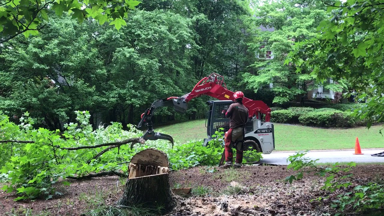 7 Landscaping Companies in London, Ontario